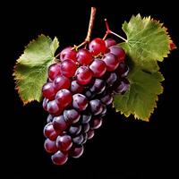 AI generated a bunch of fresh ripe juicy organic red grapes with green leaves isolated on white background photo