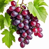 AI generated a bunch of fresh ripe juicy organic red grapes with green leaves isolated on white background photo