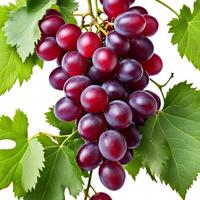 AI generated a bunch of fresh ripe juicy organic red grapes with green leaves isolated on white background photo