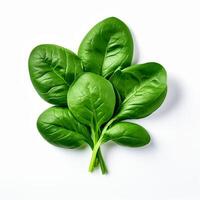 AI generated Spinach series on white background photo