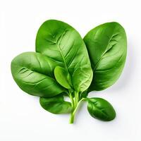 AI generated fresh spinach on white background photo