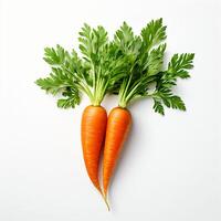 AI generated fresh raw carrots on a white background photo