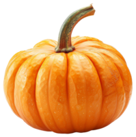 AI generated Whole orange pumpkin on transparent background - stock png. png