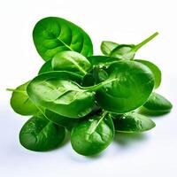 AI generated fresh spinach on white background photo