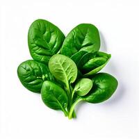 AI generated fresh spinach on white background photo