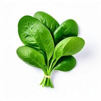 AI generated fresh spinach on white background photo