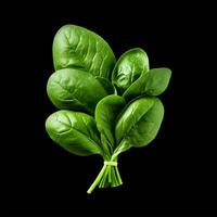 AI generated Spinach series on white background photo