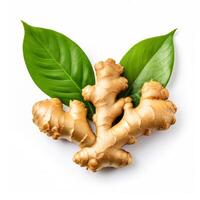 AI generated close up fresh ginger rhizome with sliced and green leaves isolated on white background photo