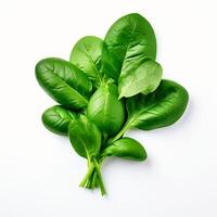 AI generated fresh spinach on white background photo