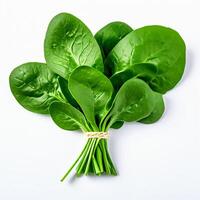 AI generated fresh spinach on white background photo