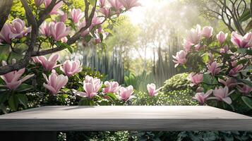 AI Generated an empty light grey wooden table set against the backdrop of a lush garden with a blooming magnolia tree, evoking a sense of tranquility and natural beauty. photo
