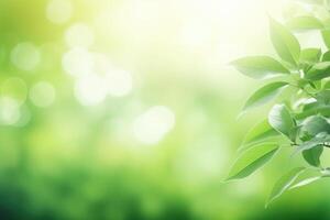 AI generated Fresh green bio background with blurred foliage and sunlight photo