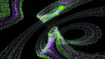 violet et vert abstrait Contexte vj boucle video