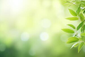 AI generated Fresh green bio background with blurred foliage and sunlight photo