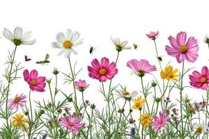 AI generated Colorful meadow and garden flowers with insects  isolated photo