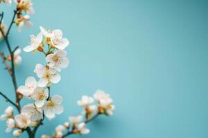 AI generated spring background fresh flower on blue background. photo