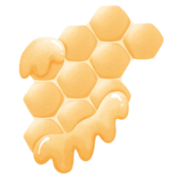 nid d'abeille avec du miel png