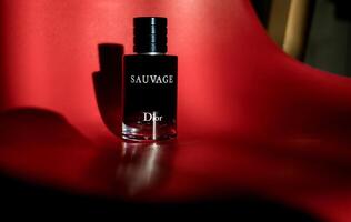 minsk, bielorrusia, marzo 20, 2024 - dior salvaje eau Delaware baño foto