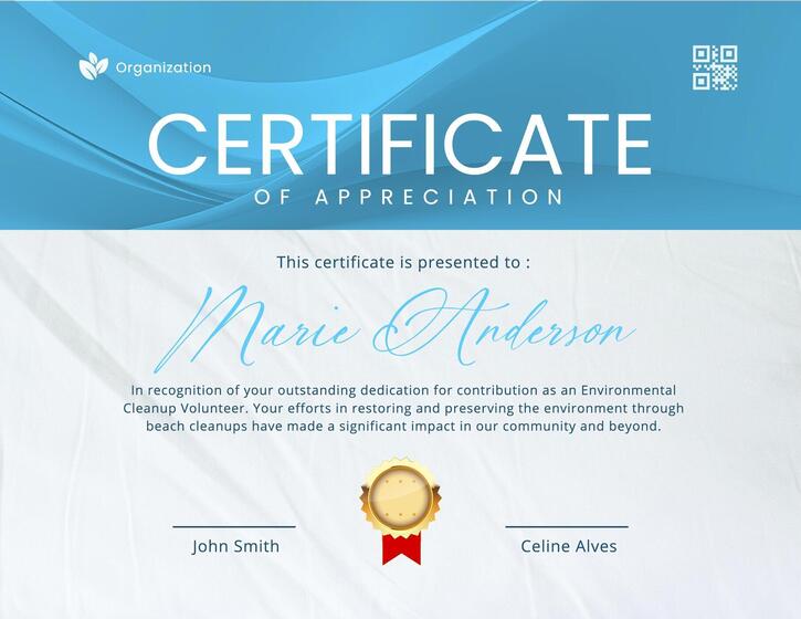 Blue Minimalist Disasters Volunteer Certificate of Participation