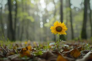 AI generated Focus Sunflower Wild Flower in spring forest landscape with sunrise Beautiful view background photo