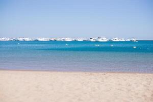 Beach Relaxation at the Red Sea. Fairy-tale Moments of a Sunny Day. The concept of tourism and sea travel photo