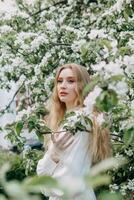 A blonde girl with long hair on a walk in a spring park. Springtime and blooming apple trees. photo