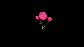 ein Pflanze im ein Topf mit Blume Blätter Symbol Konzept Schleife Animation Video mit Alpha Kanal