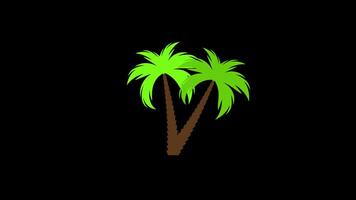 palm trees Tropical vacation icon concept animation with alpha channel video