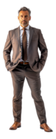 AI generated Senior professional in checkered suit and stern expression on transparent background - stock png. png