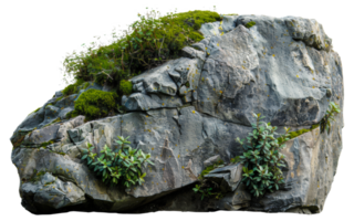 AI generated Natural rock with lush vegetation and white flowers on transparent background - stock png. png