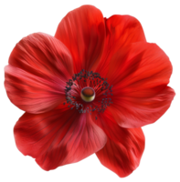 AI generated Red hibiscus flower with detailed petals on transparent background - stock png. png