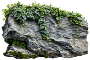 AI generated Natural rock with lush vegetation and white flowers on transparent background - stock png. png