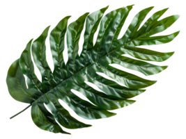 AI generated Single vibrant green palm leaf with natural patterns on transparent background - stock png. png