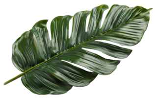 AI generated Single vibrant green palm leaf with natural patterns on transparent background - stock png. png