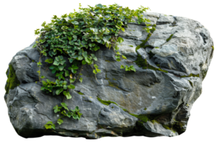 AI generated Natural rock with lush vegetation and white flowers on transparent background - stock png. png