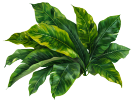 ai genererad stor monstera löv med naturlig mönster på transparent bakgrund - stock png. png