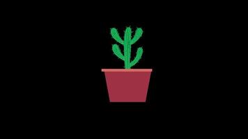 ein Kaktus im ein Topf Symbol Konzept Animation mit Alpha Kanal video