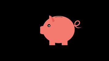 pig saving money coin icon animation loop motion graphics video transparent background with alpha channel