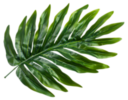 AI generated Single vibrant green palm leaf with natural patterns on transparent background - stock png. png