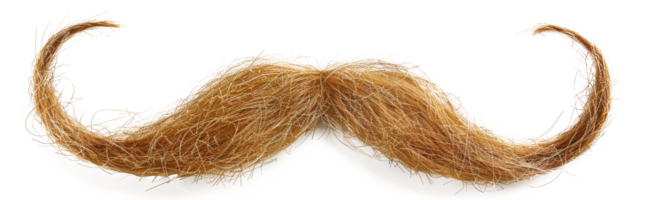 ai généré texturé frisé les fibres dans une Naturel marron modèle sur transparent Contexte - Stock png. png