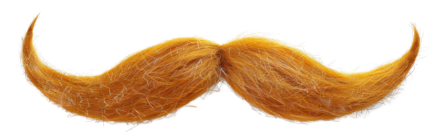 ai généré texturé frisé les fibres dans une Naturel marron modèle sur transparent Contexte - Stock png. png