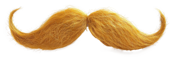 ai généré texturé frisé les fibres dans une Naturel marron modèle sur transparent Contexte - Stock png. png