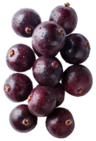 ai generado todo negro acai berrie con agua gotas en transparente antecedentes - valores png. png