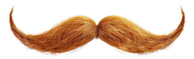 ai généré texturé frisé les fibres dans une Naturel marron modèle sur transparent Contexte - Stock png. png