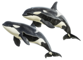 AI generated Pair of orcas swimming together in the ocean on transparent background - stock png. png