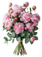 AI generated Soft pink peonies in full bloom with green leaves on transparent background - stock png. png