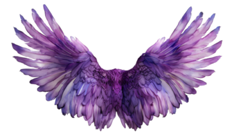 ai generado lavanda ángel alas con pluma detalles en transparente antecedentes - valores png. png