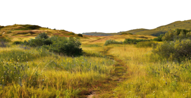 AI generated Serene golden hills with a narrow path and wildflowers on transparent background - stock png. png