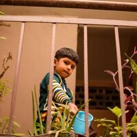 Cute 5 year old Asian little boy is watering the plant in the pots located at house balcony, Love of sweet little boy for the mother nature during watering into plants, Kid Planting photo