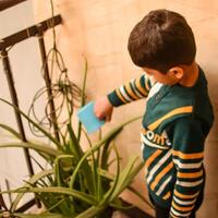 Cute 5 year old Asian little boy is watering the plant in the pots located at house balcony, Love of sweet little boy for the mother nature during watering into plants, Kid Planting photo